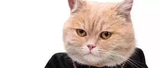 据说，国庆收假后，各科老师的表情是这样的，不许笑！看有你的没！