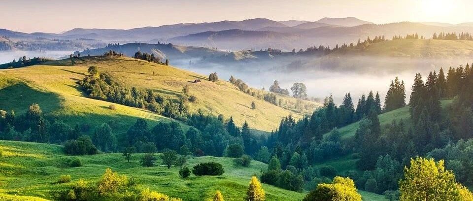 通知！教师真的要涨工资了，但这三类教师没有……