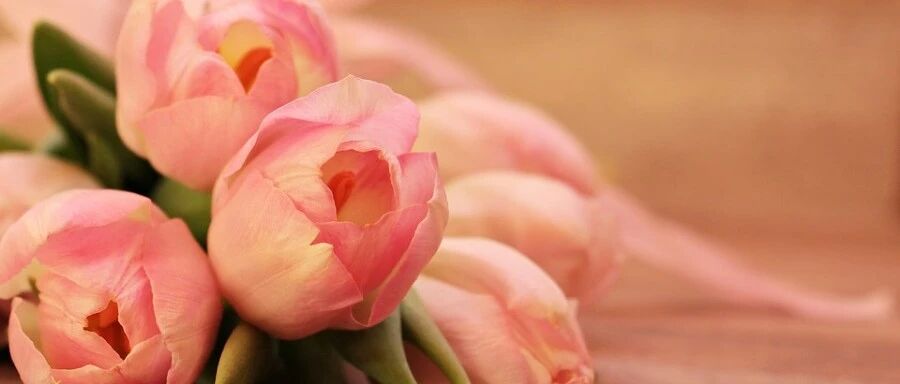 关于教师节放假的通知！