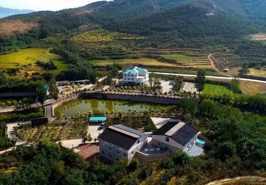 白台子镇兴隆峪村赏花踏青打卡地推荐:吴楚庄园花期:4月中旬至5月上旬