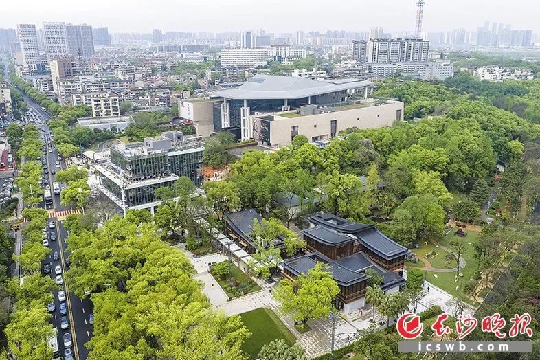 “馆园融合”项目竣工后，市民游客可从烈士公园轻松进入湖南省博物馆。 长沙晚报全媒体记者 黄启晴 摄