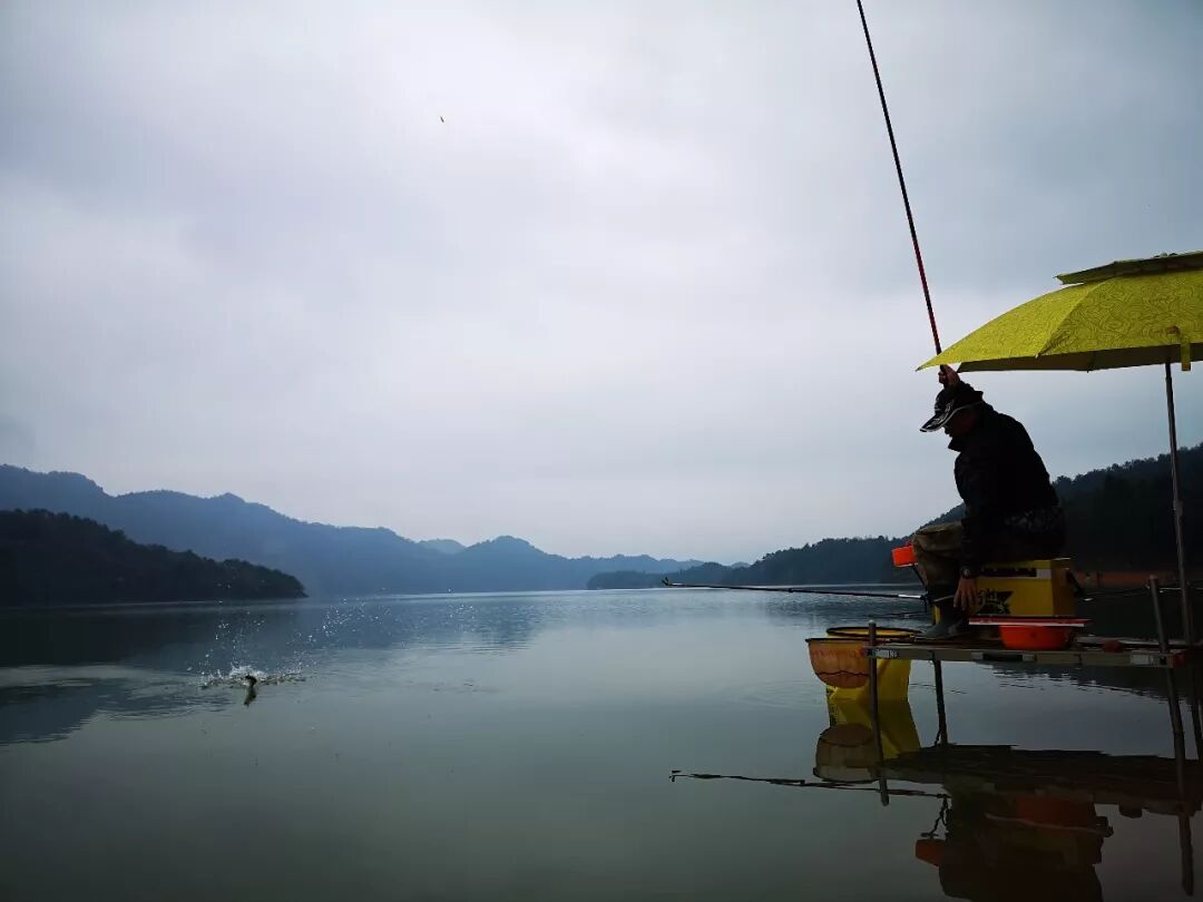 钓鱼王鱼竿千岛湖不能随便钓鱼那么问题来了垂钓证如何办理