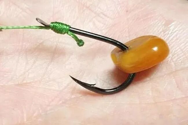 钓鱼王鱼竿野钓大鱼玉米粒如何挂钩还有不少讲究