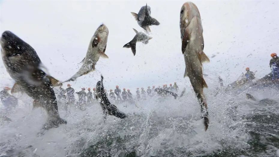 其实是这5大原因!