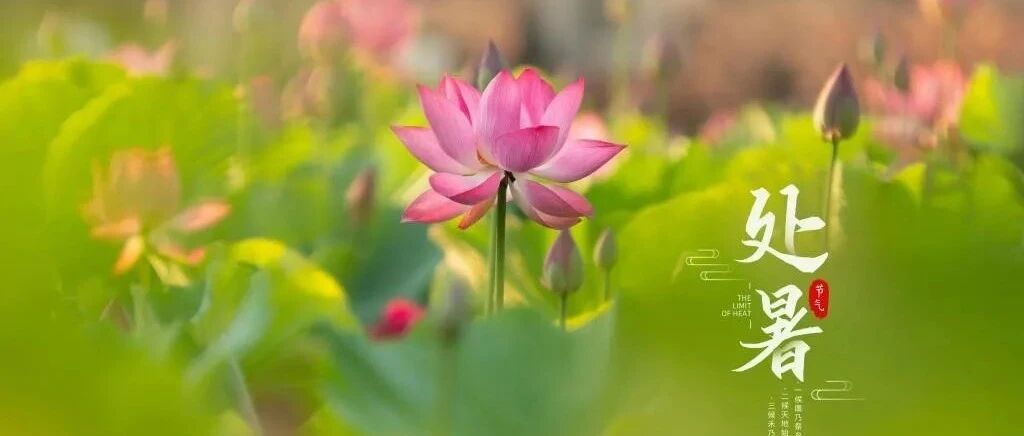 今日处暑：暑去秋来，愿你安康！