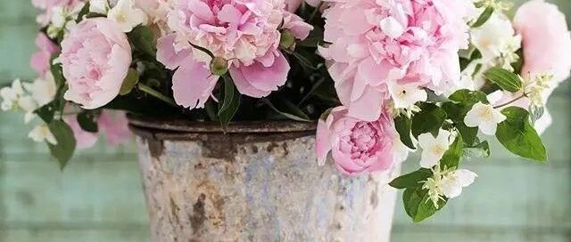 适合发朋友圈的句子，经典有内涵！