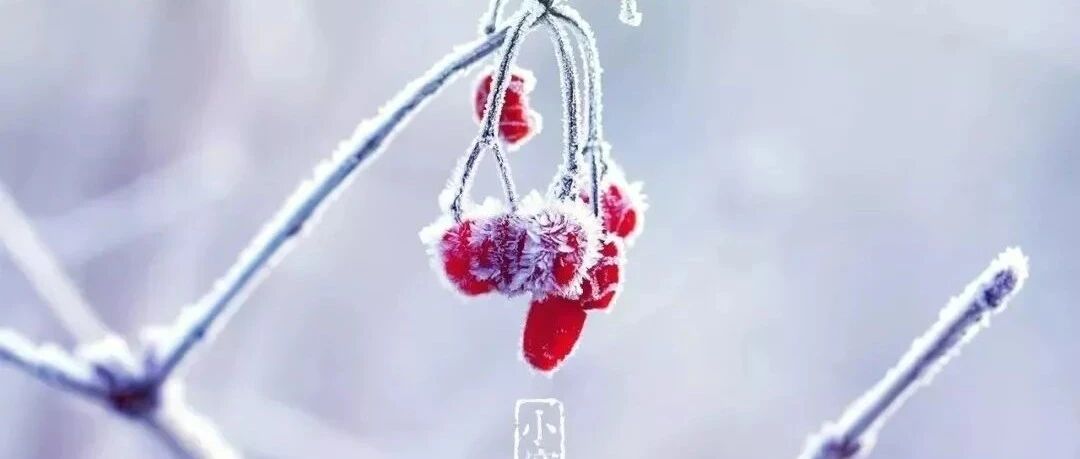 小寒：送你一首《冬日暖阳》，祝您健康好心情!