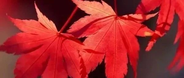 今日秋分：天渐凉，记得添衣！