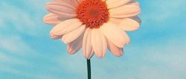 适合发朋友圈的哲理句子，字字千金，人人点赞！