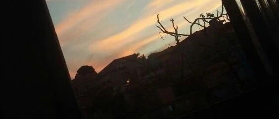 口误到底有多尴尬？大型社会性死亡现场：