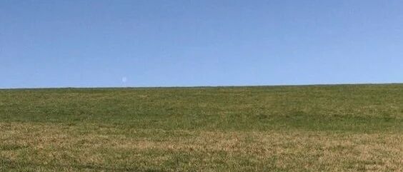 女生喜欢上一个人时的生理反应？