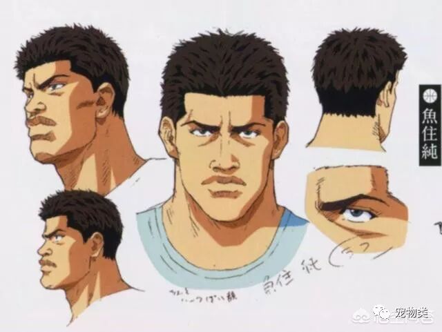 灌篮高手 里面的鱼柱纯是个什么样的人 宠物类 微信公众号文章阅读 Wemp