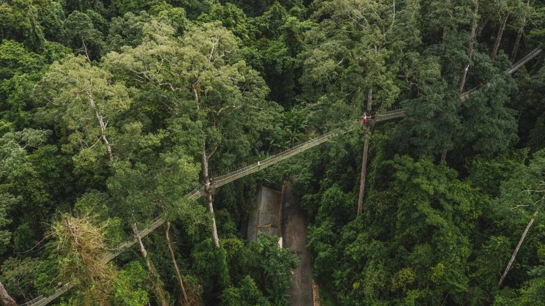 藏不住的傣族好風情和魅力風光！這裡是我最愛的西雙版納… 旅遊 第12張