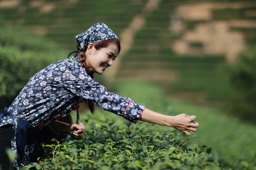 膨脹了！征服無數博主的浪漫熱氣球，在國內就能赴一場心動之旅！ 旅遊 第22張