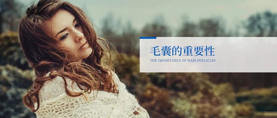 关爱头发，关心植发，更该关注的其实是它！