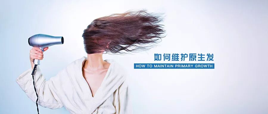 植发后，原生发却掉了怎么办？