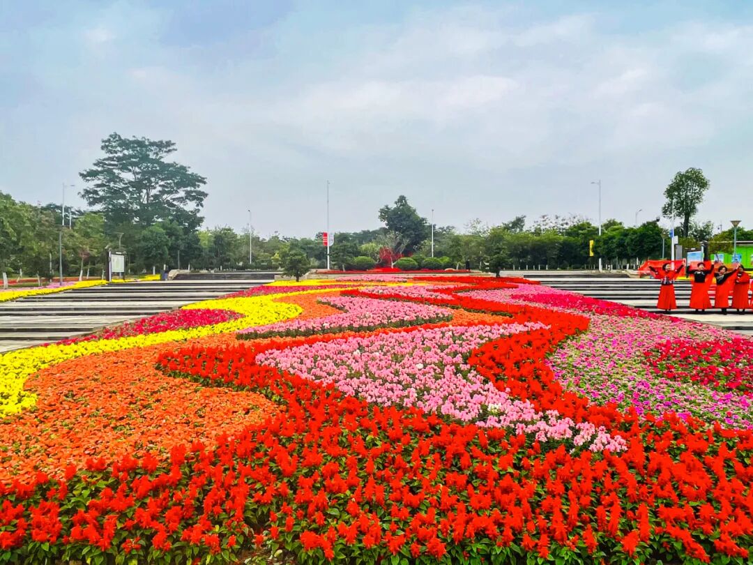 种植的时花包括▲少年宫路段且景观效果突出的时花品种精心栽种了适应