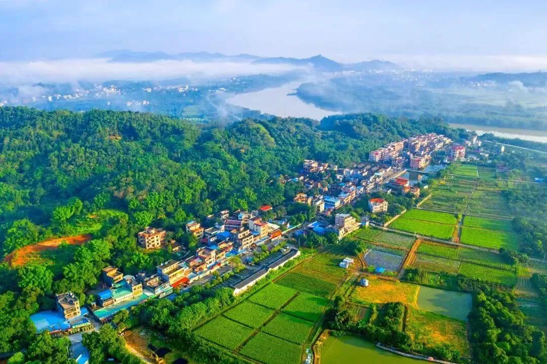 图/广州增城发布