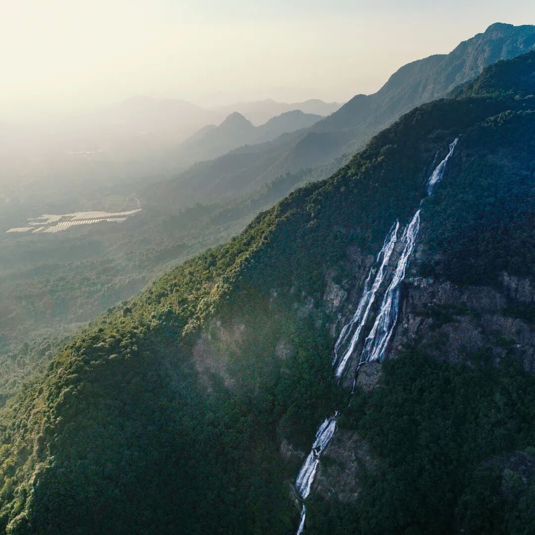 图/广州增城发布
