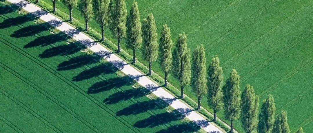 远离那些不停消耗你的人！（深度好文）