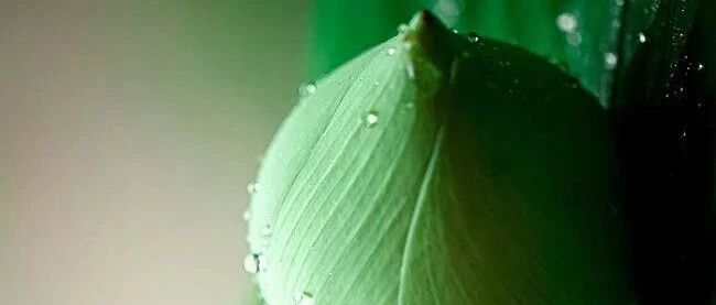 一个人开始走大运的4个征兆