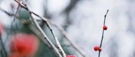 年纪大了，才发现这些道理都是真的