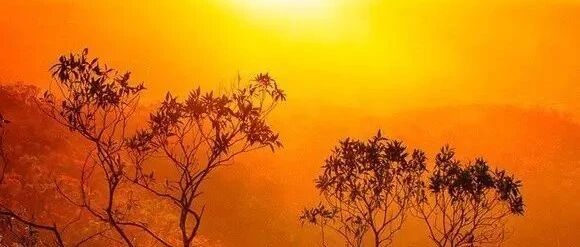 标榜自己的话，千万不要说