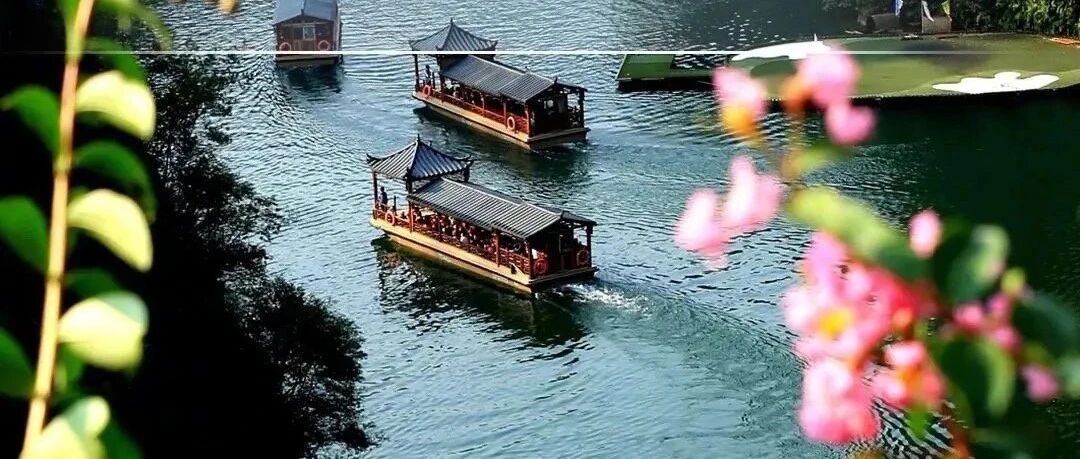 张家界一封信，刷屏了！网友：瞬间破防