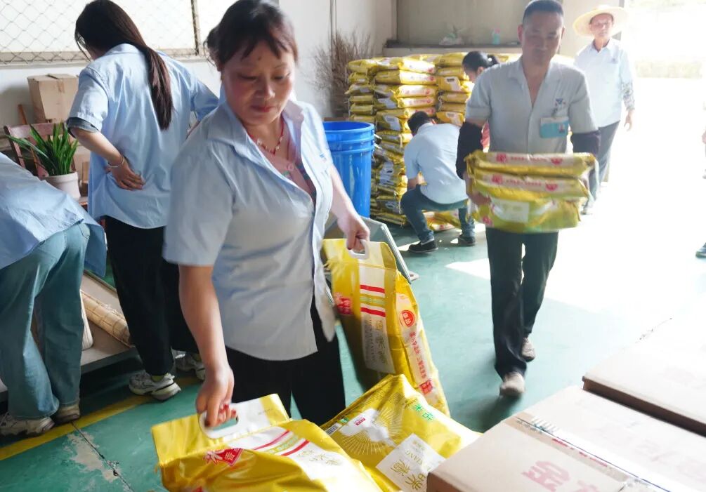 浓情端午，安康“晶锋