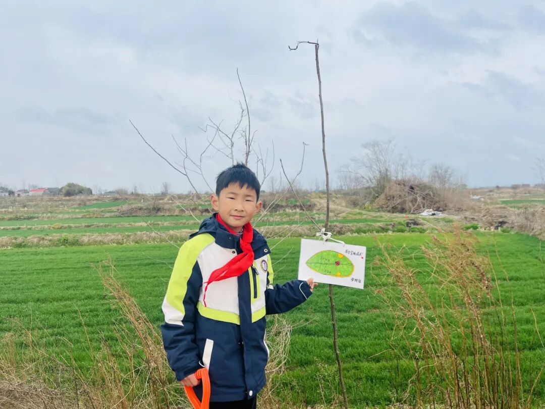 开展“小手拉大手 共筑绿色未来”植树活动