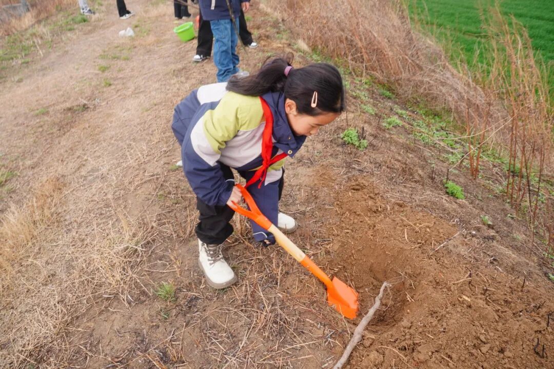 开展“小手拉大手 共筑绿色未来”植树活动