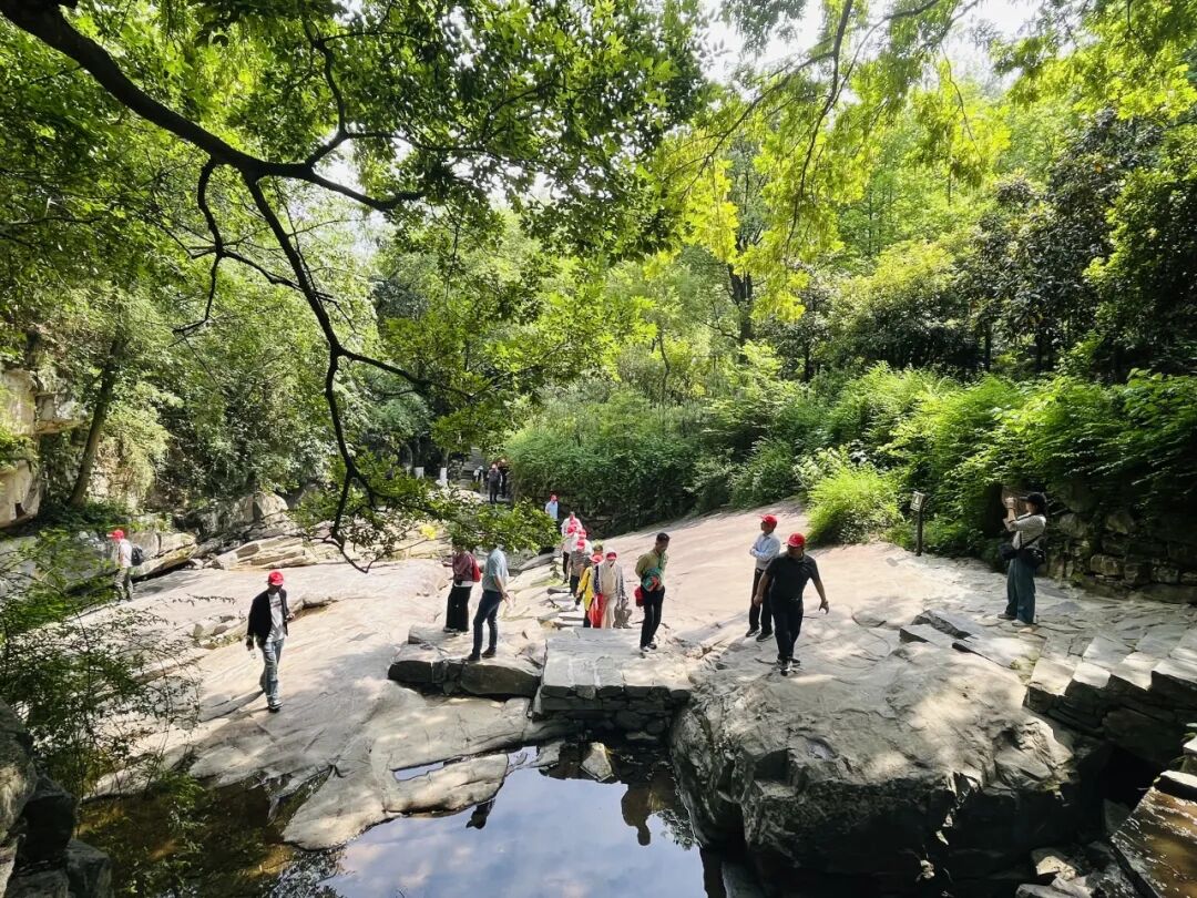 2025年优秀精英及党员同志研学活动圆满举行