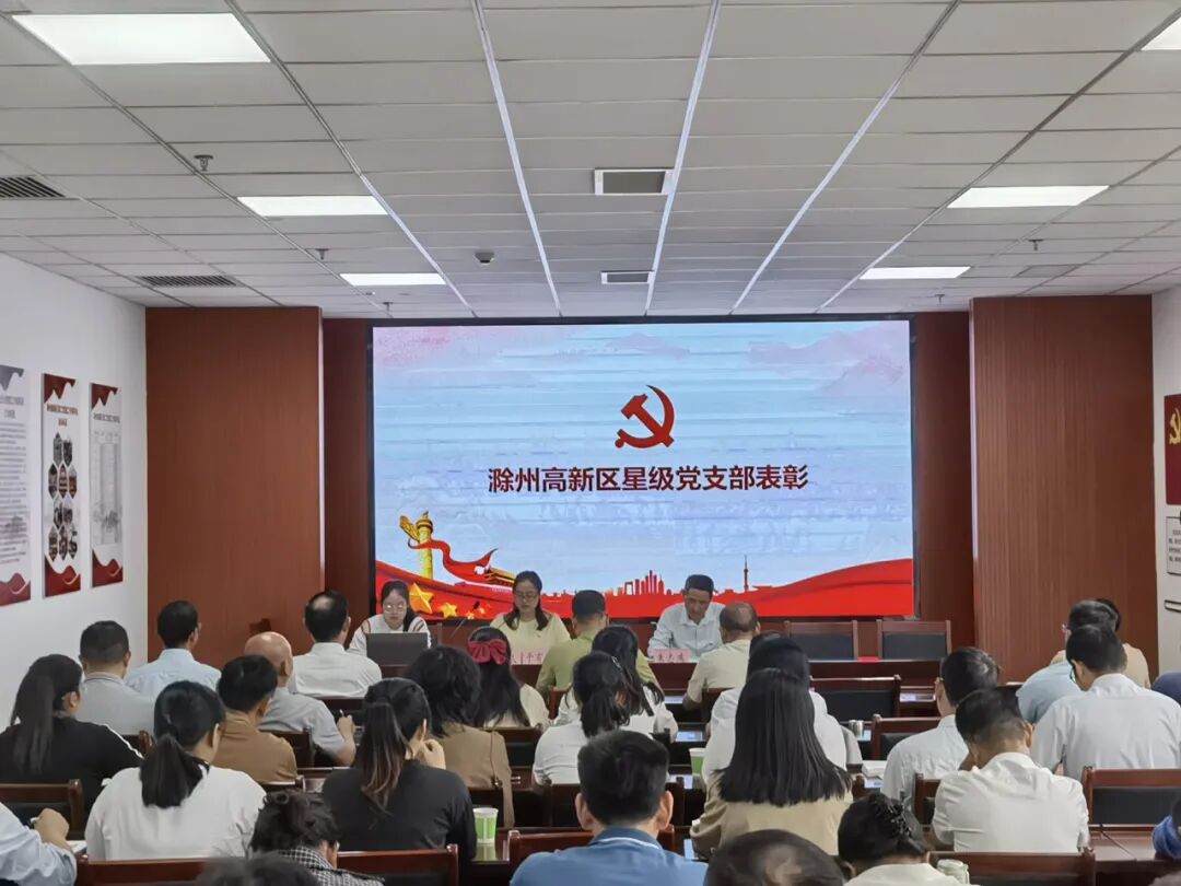 民营企业党建迈上新台阶，晶锋集团荣膺“四星级党支部