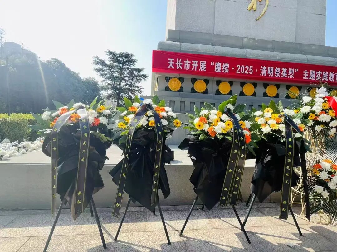 清明祭扫烈士陵园