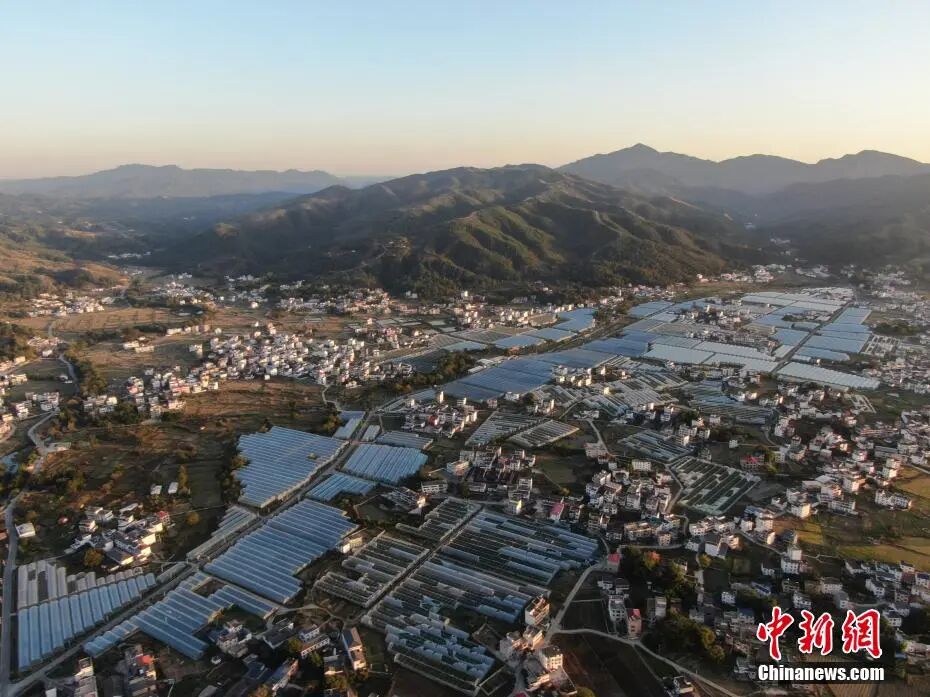 11月27日，航拍位于江西赣州于都县的梓山镇万亩富硒蔬菜产业园，只见一座座蔬菜大棚鳞次栉比，从空中俯瞰十分壮观。梓山镇万亩富硒蔬菜产业园主要种植富硒丝瓜、茄子、辣椒、苦瓜等蔬菜，全年蔬菜产量达6万吨，产值3.6亿元。.jpg