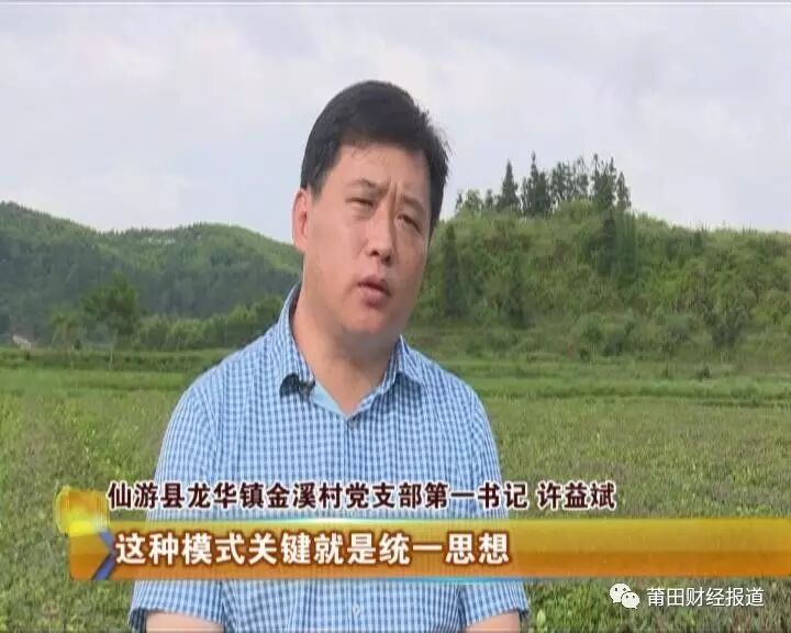 仙游县金溪村:"一村一品"促发展 金溪茶香飘满园