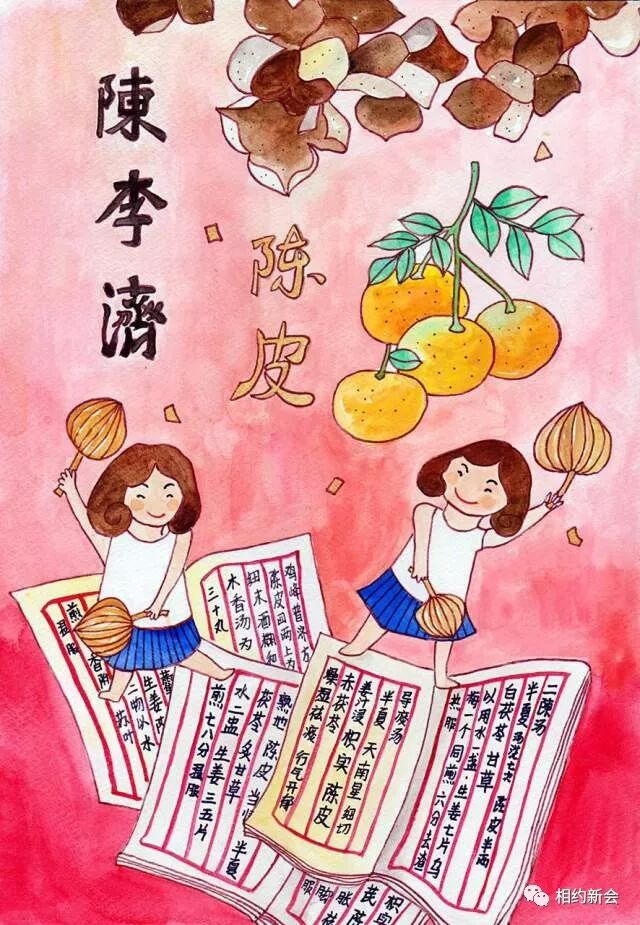 【新会风物】陈皮作盘缠,百元一碗陈皮茶……这些有趣的新会陈皮小