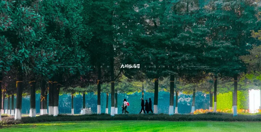 大朗春色丨自怜春尽腰肢瘦，更向庭前插柳枝！