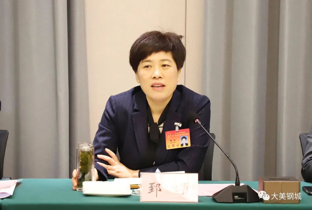 钢城两会钢城区委副书记区长郅颂参加省市驻钢城企业代表团分组审议