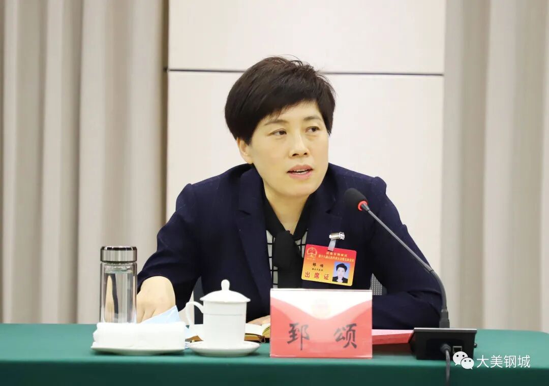 钢城两会钢城区委副书记区长郅颂参加政协经济农业群团界分组讨论