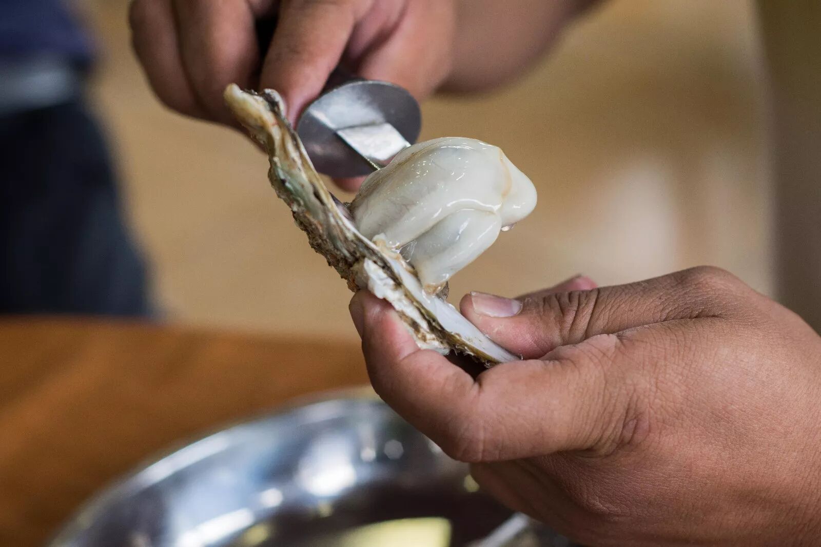 每一只生蚝打开有蚝肉十分饱满!