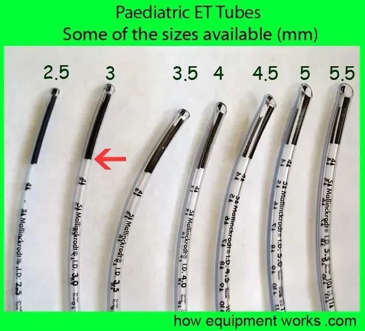 气管插管的管是什么气管插管的作用是什么？_https://www.jmylbn.com_新闻资讯_第24张