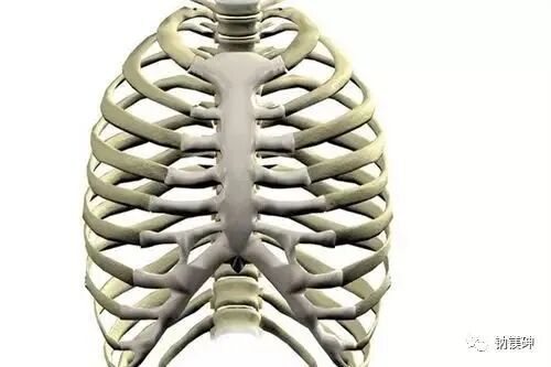 上肢夹板怎么用各种常见创伤急救措施，一文总结！_https://www.jmylbn.com_新闻资讯_第30张