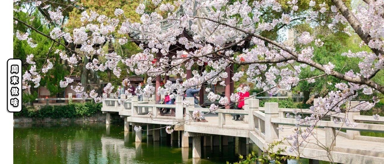 魔都春节好去处！12座公园等你来逛！