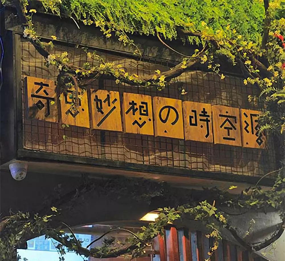 在室內動物園吸貓、吸豬、吸鯊魚，解救「太陽流浪」的2月～ 未分類 第52張