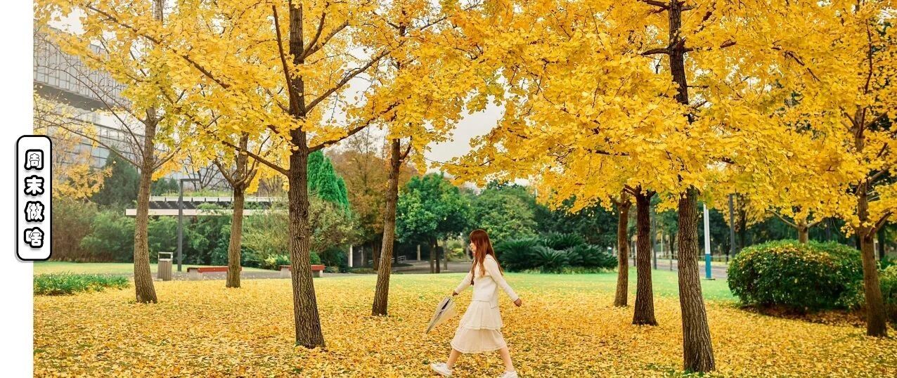 上海周边绝美赏秋地，这15处值得打卡！