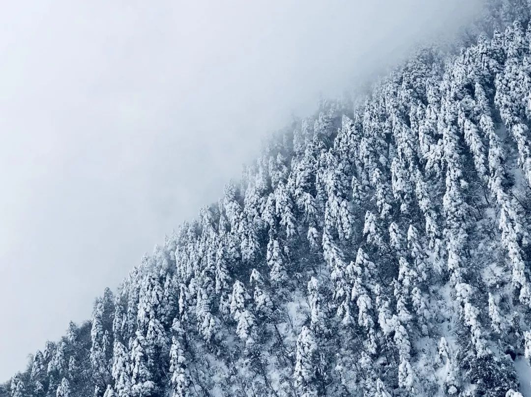 春節修仙級玩家旅行攻略！國內棉花堡、冰川雪景...說走就走！ 旅遊 第20張