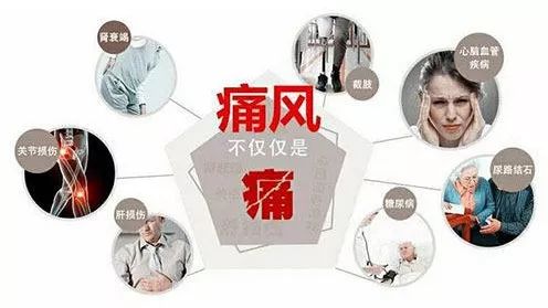 痛風「克星」找到了，讓痛風不再復發，穩定尿酸值，生活無煩惱！ 健康 第1張