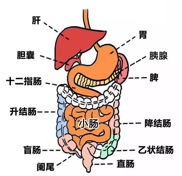 什麼？全世界只有中國人喝熱水？ 健康 第32張