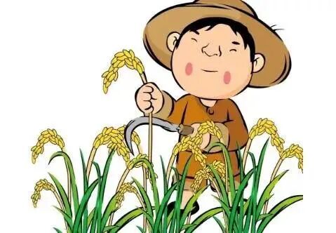 乡点洋村本次直播将在日溪乡点洋村举行,这里是历史上有名的鱼米之乡